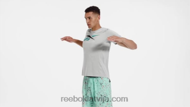 Activchill grafikas sportista t-krekls vīriešiem 0T4641286 Reebok tīri pelēks 3