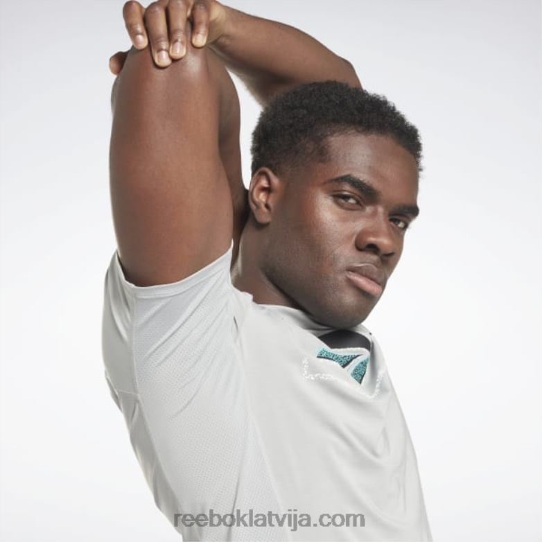 Activchill grafikas sportista t-krekls vīriešiem 0T4641286 Reebok tīri pelēks 3