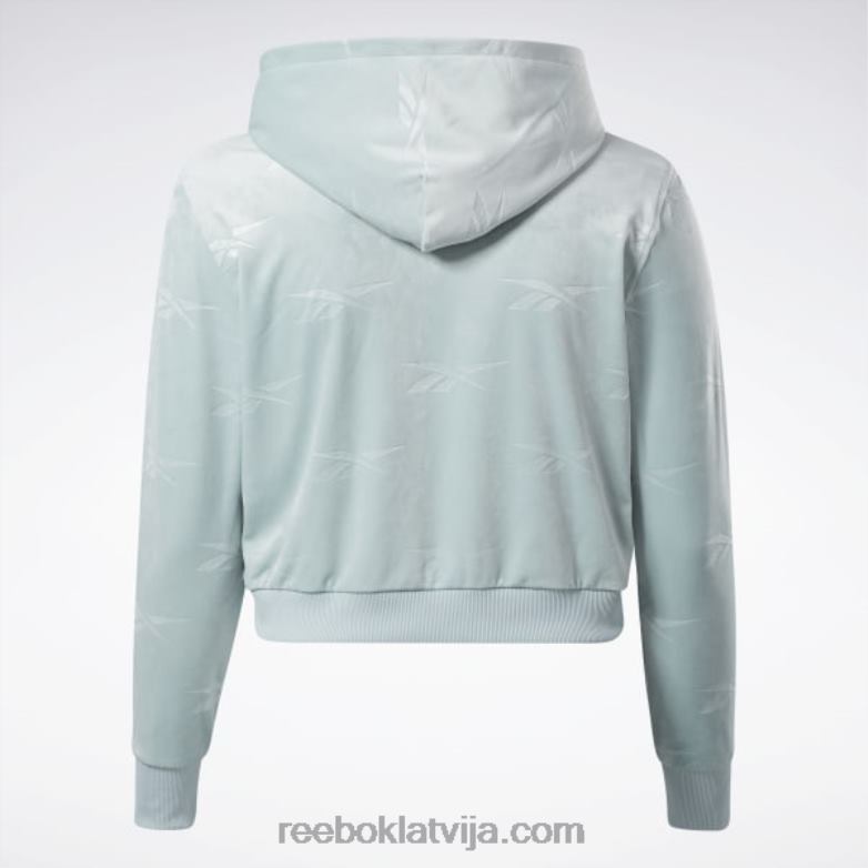 Classics energy q4 velūra džemperis ar rāvējslēdzēju (plus izmērs) sievietes 0T464899 Reebok piejūras pelēks