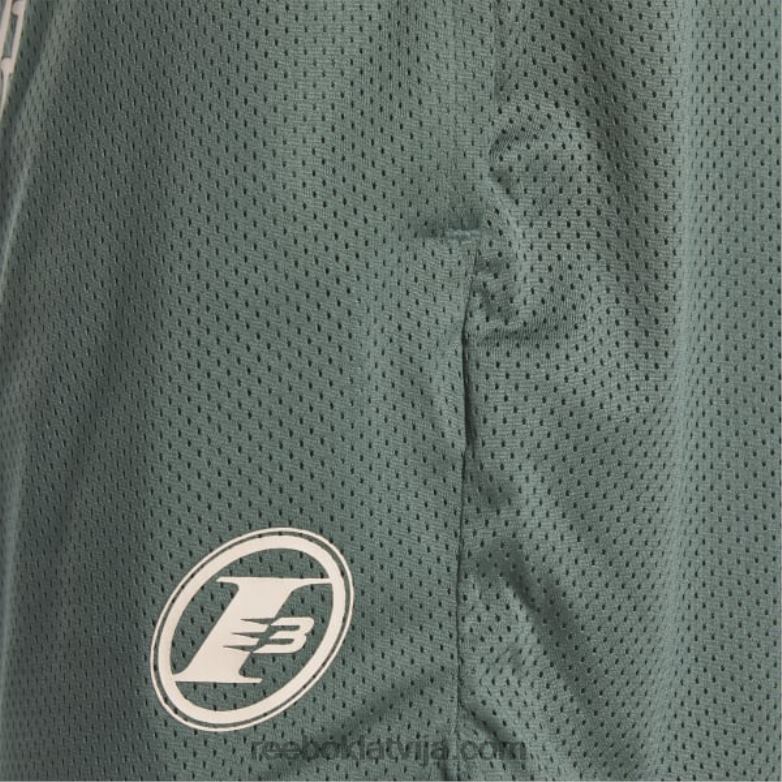 Tīkla šorti vīriešiem 0T4641196 Reebok krīta zaļa