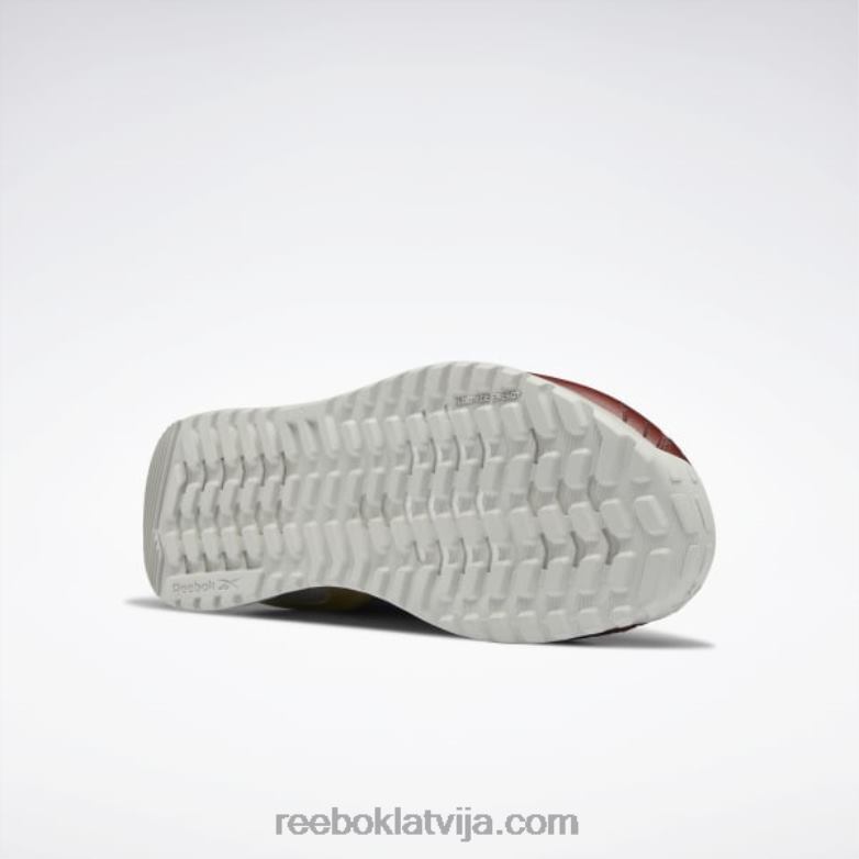 dc nano x2 vīriešu treniņu apavi0T46498 Reebok terra sarkans/drosmīgs zils/matēts zelts