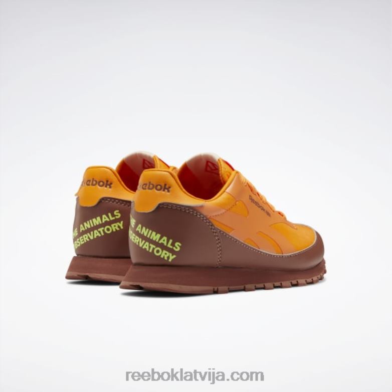 dzīvnieku observatorija klasiskās ādas apavi - pirmsskolas bērni 0T4641415 Reebok laukakmens brūns/spilgti oranžs/saules skābes dzeltens