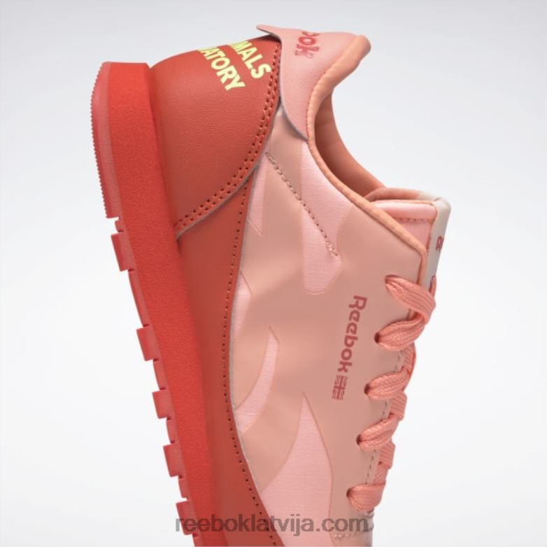 dzīvnieku observatorija klasiskās ādas apavi - pirmsskolas bērni 0T4641426 Reebok sacīkšu sarkana/saules skābe dzeltena