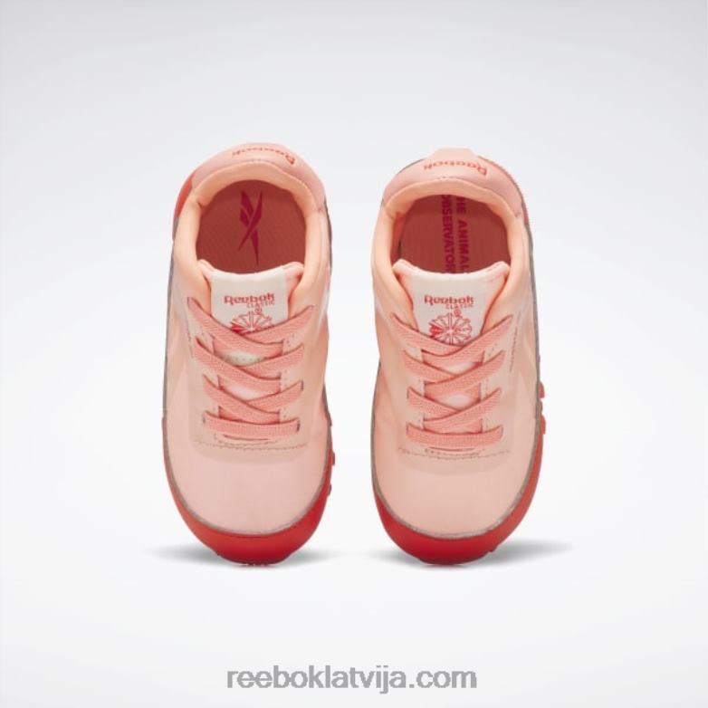 dzīvnieku observatorija klasiskās ādas kurpes - toddler bērni 0T4641401 Reebok sacīkšu sarkana/saules skābe dzeltena