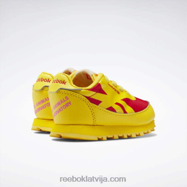 dzīvnieku observatorija klasiskās ādas kurpes - toddler bērni 0T4641430 Reebok vienmēr dzeltens/sacīkšu sarkans