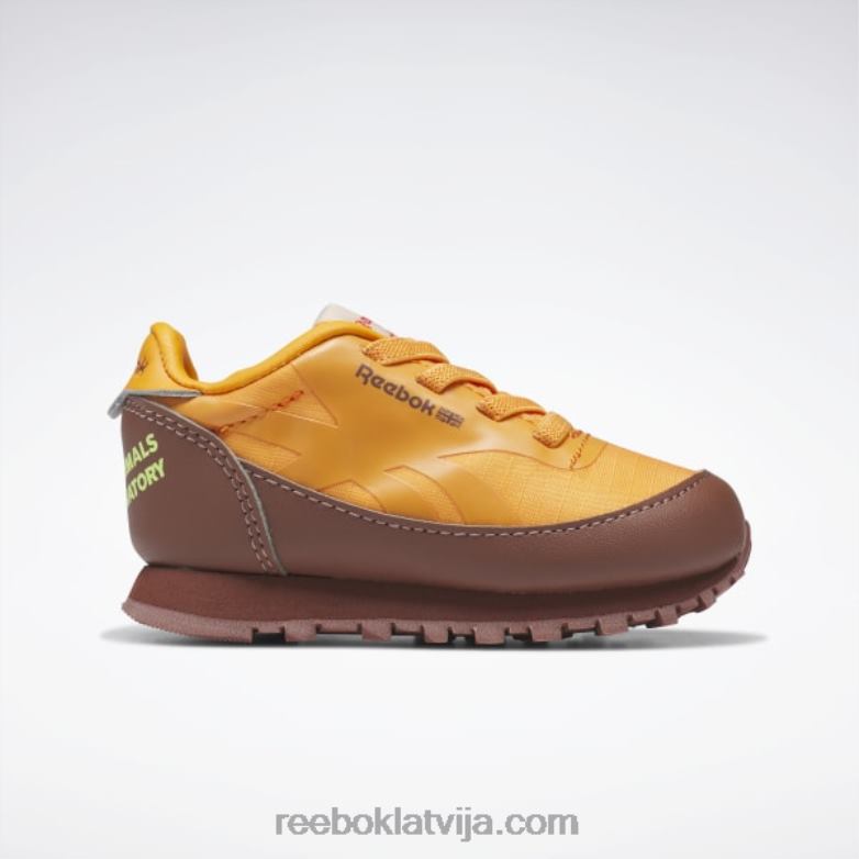dzīvnieku observatorija klasiskās ādas kurpes - toddler bērni 0T4641435 Reebok laukakmens brūns/spilgti oranžs/saules skābes dzeltens