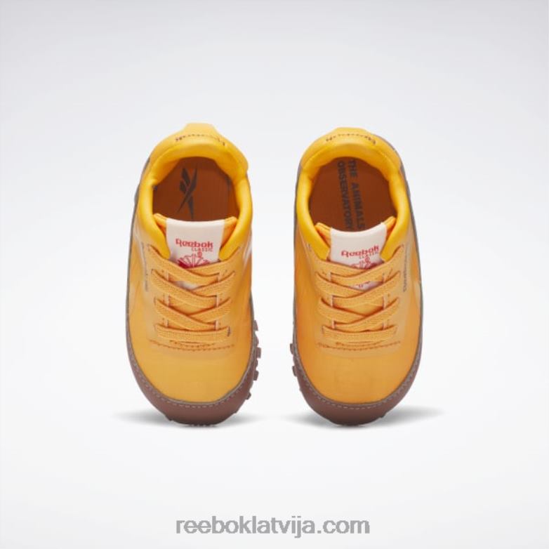 dzīvnieku observatorija klasiskās ādas kurpes - toddler bērni 0T4641435 Reebok laukakmens brūns/spilgti oranžs/saules skābes dzeltens
