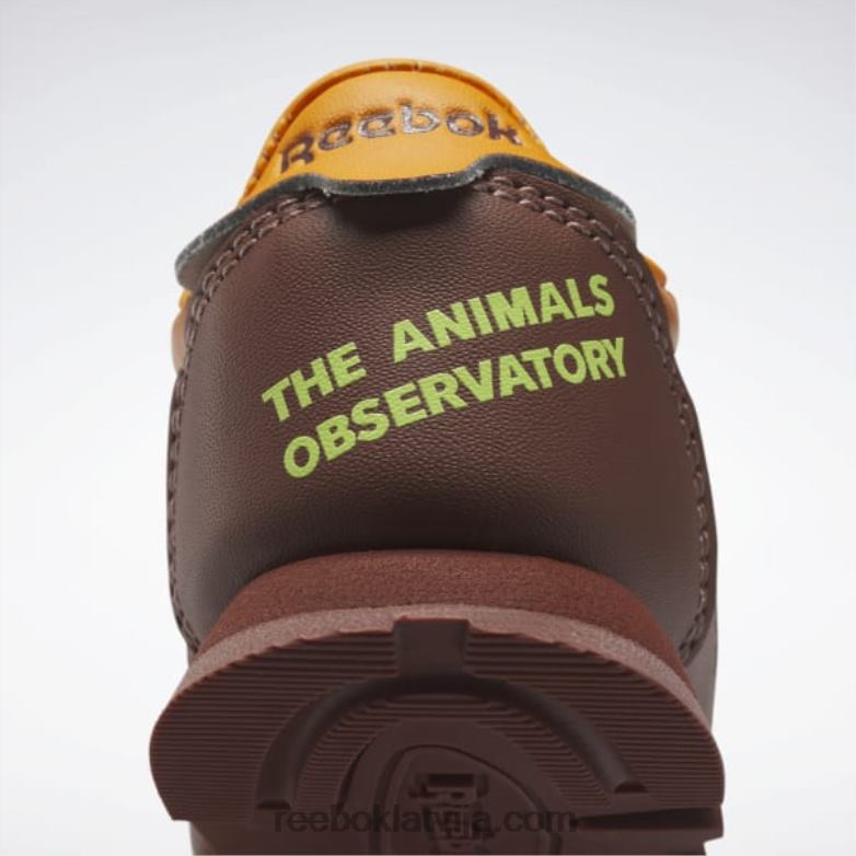dzīvnieku observatorija klasiskās ādas kurpes - toddler bērni 0T4641435 Reebok laukakmens brūns/spilgti oranžs/saules skābes dzeltens
