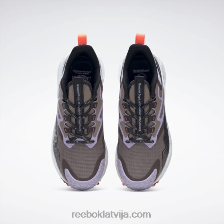 floatride energy 4 piedzīvojumu sieviešu skriešanas apavi0T464496 Reebok taupe/purple oasis/core black