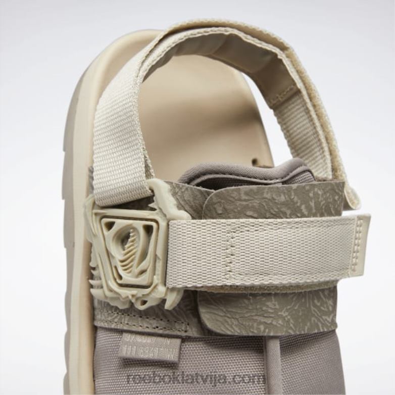 jurassic world beatnik slaidi0T464245 Reebok laukakmens pelēks/pergaments/auzu pārslas