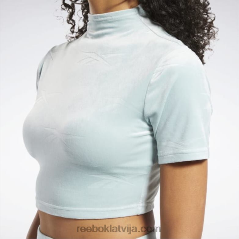 klasisks enerģijas pieguļošs tops sievietes 0T464887 Reebok piejūras pelēks