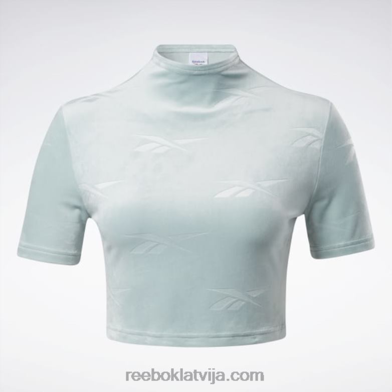 klasisks enerģijas pieguļošs tops sievietes 0T464887 Reebok piejūras pelēks