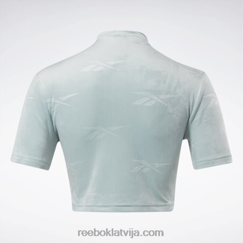 klasisks enerģijas pieguļošs tops sievietes 0T464887 Reebok piejūras pelēks