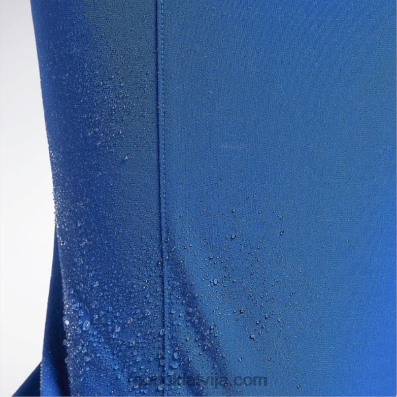 performances bikses vīriešiem 0T4641181 Reebok vektors zils