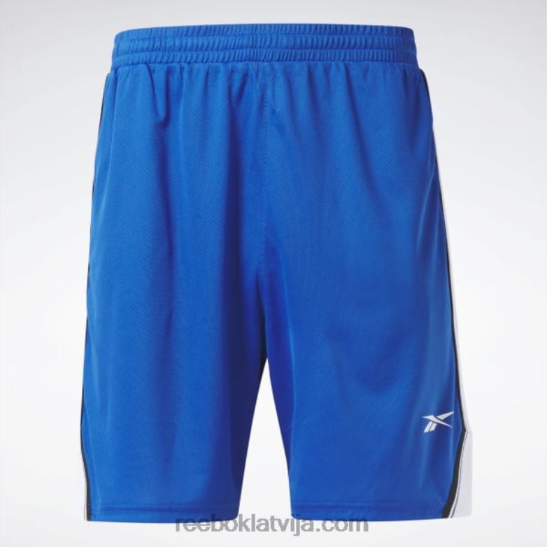 treniņiem gatavi sieta šorti vīriešiem 0T4641292 Reebok vektors zils