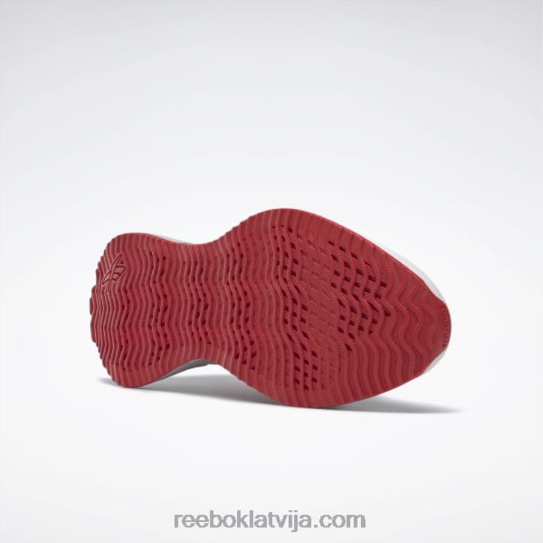 zig dynamica 2 vīriešu apavi0T4641076 Reebok tīri pelēks 1/vektors sarkans/tīri pelēks 2