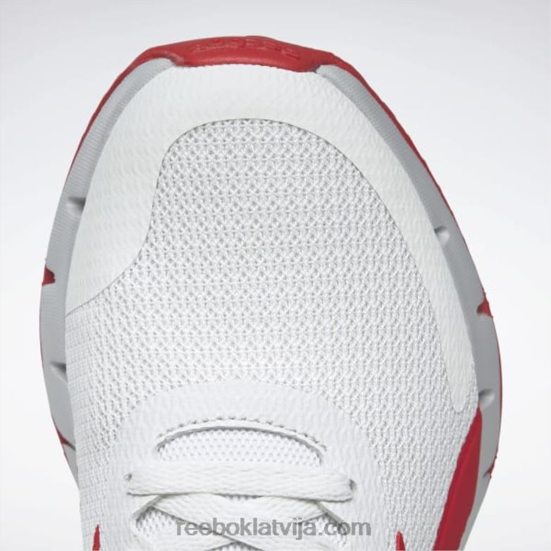 zig dynamica 2 vīriešu apavi0T4641076 Reebok tīri pelēks 1/vektors sarkans/tīri pelēks 2