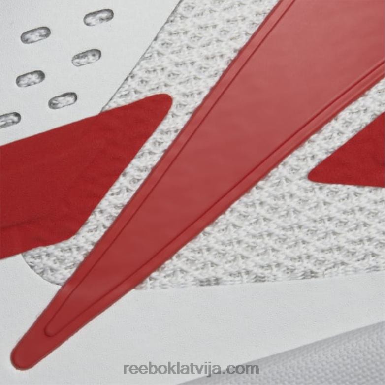 zig dynamica 2 vīriešu apavi0T4641076 Reebok tīri pelēks 1/vektors sarkans/tīri pelēks 2