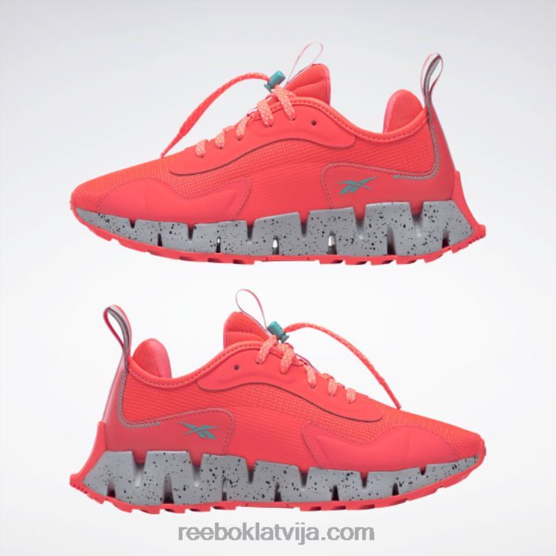 zig dynamica piedzīvojumu sieviešu apavi0T464118 Reebok oranža uzliesmojums/klasiskā zilganza/tīri pelēka 3
